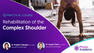 Rehabilitation of the Complex Shoulder Practical Course | Christchurch
